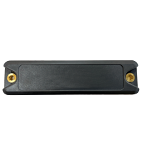IUC86-F251-M-FR2 10pcs RFID 应答器
