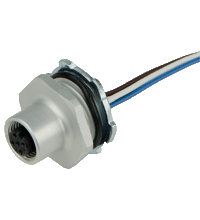 1/2" NPT-V1-G-.3M 母头插座
