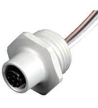1/2" NPT-V15-G-.3M 母头插座